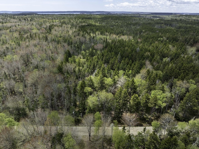 6 Duck Cove Rd, Roque Bluffs, ME 04654