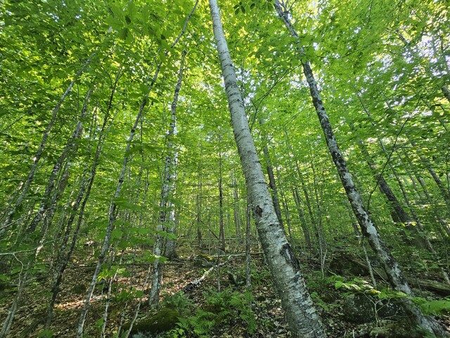 POM23-L6 Great Moose Dr, Hartland, ME 04943 - photo 3