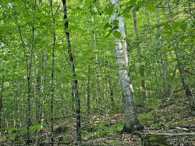 POM23-L6 Great Moose Dr, Hartland, ME 04943 - photo 4