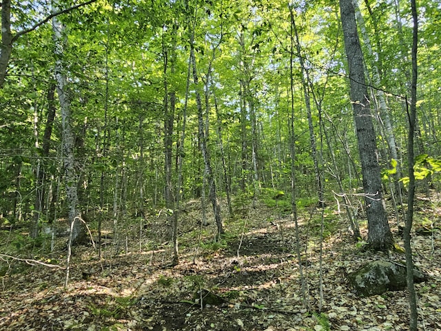 POM23-L6 Great Moose Dr, Hartland, ME 04943 - photo 5