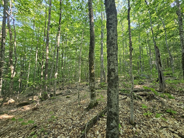 POM23-L6 Great Moose Dr, Hartland, ME 04943 - photo 6