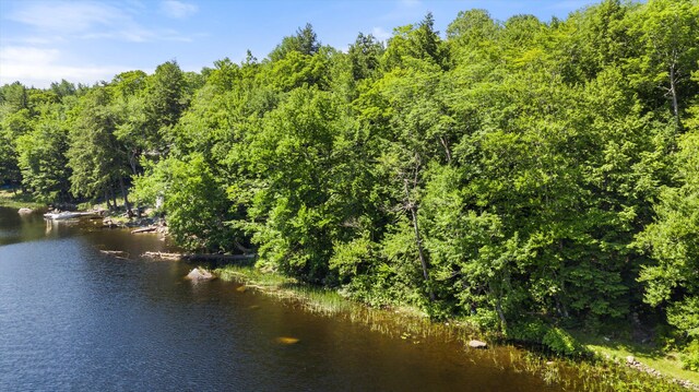 POM23-L6 Great Moose Dr, Hartland, ME 04943 - photo 13