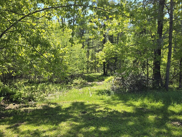 237 Bangor Rd, Unity, ME 04988 - view of woods
