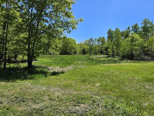 237 Bangor Rd, Unity, ME 04988 - view of tree filled area