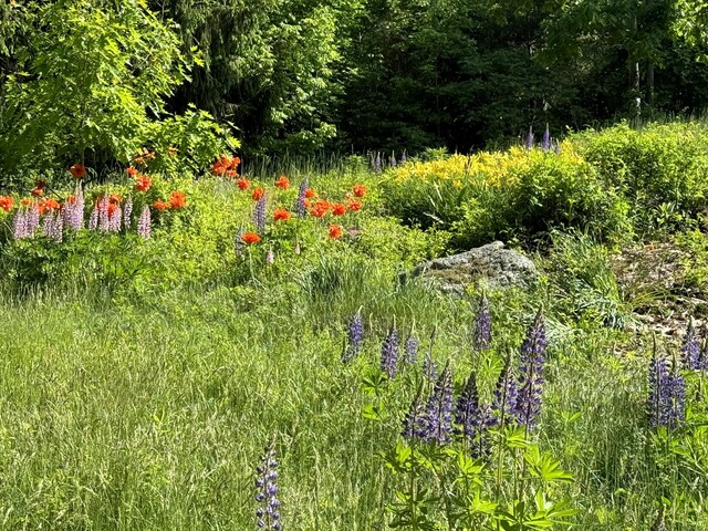 237 Bangor Rd, Unity, ME 04988 - view of nature