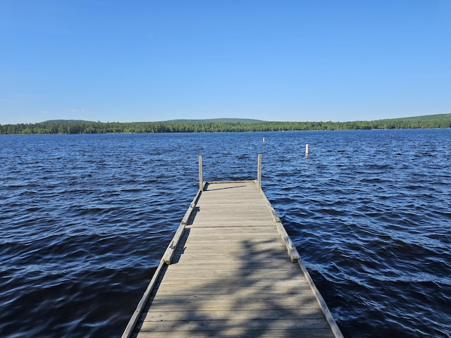 10 Great Moose Dr Unit Pl5, 6, 9, Hartland, ME 04493 - photo 1