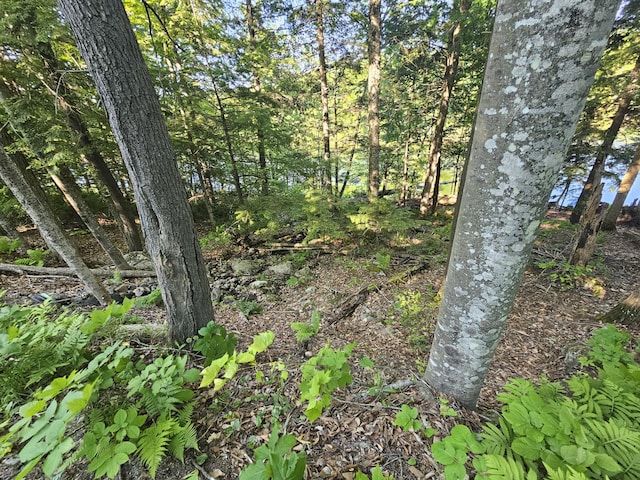 10 Great Moose Dr Unit Pl5, 6, 9, Hartland, ME 04493 - photo 2
