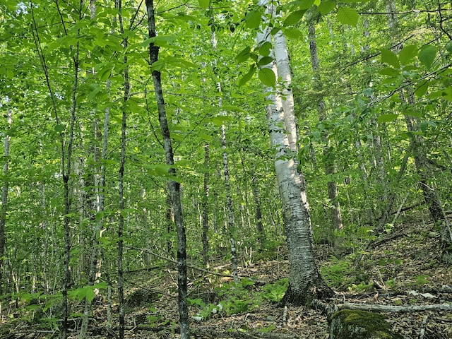 10 Great Moose Dr Unit Pl5, 6, 9, Hartland, ME 04493 - photo 4