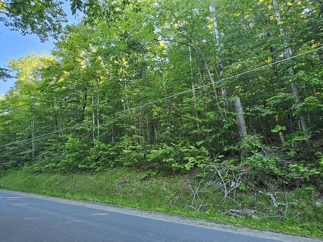 10 Great Moose Dr Unit Pl5, 6, 9, Hartland, ME 04493 - photo 5