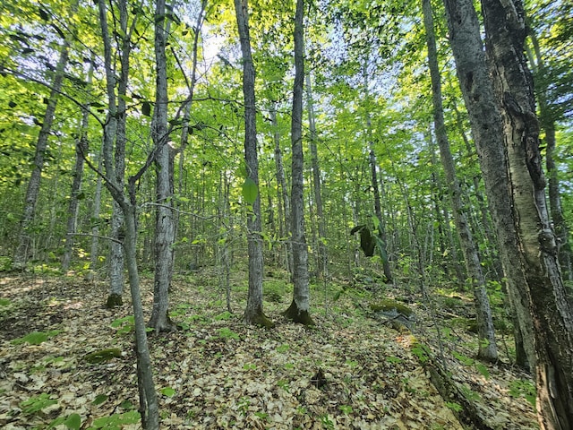 10 Great Moose Dr Unit Pl5, 6, 9, Hartland, ME 04493 - photo 6