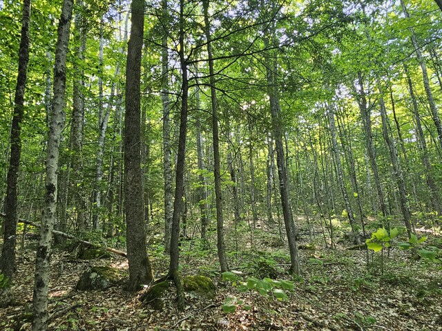 10 Great Moose Dr Unit Pl5, 6, 9, Hartland, ME 04493 - photo 7
