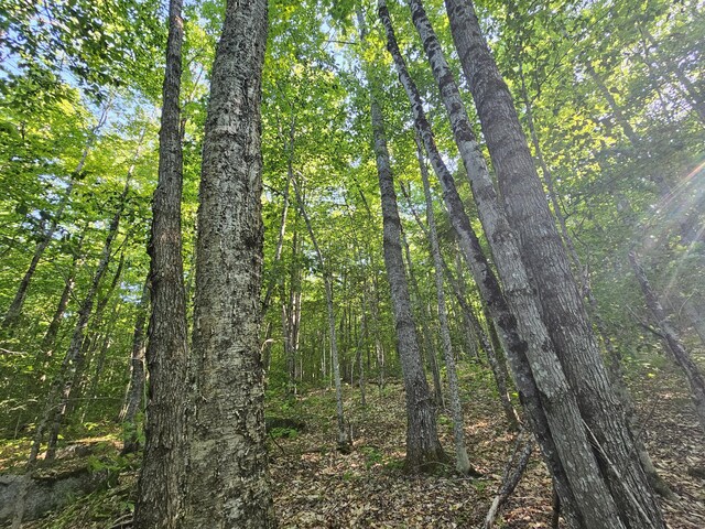 10 Great Moose Dr Unit Pl5, 6, 9, Hartland, ME 04493 - photo 8