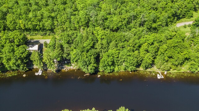 10 Great Moose Dr Unit Pl5, 6, 9, Hartland, ME 04493 - photo 13