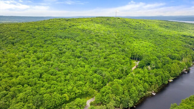 10 Great Moose Dr Unit Pl5, 6, 9, Hartland, ME 04493 - photo 14