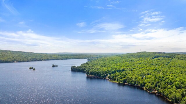 10 Great Moose Dr Unit Pl5, 6, 9, Hartland, ME 04493 - photo 15