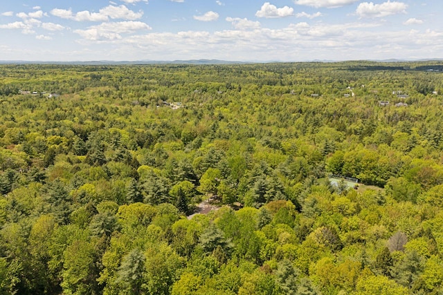 10 Ledge Hill Rd, Gorham, ME 04038 - bird's eye view of a forest