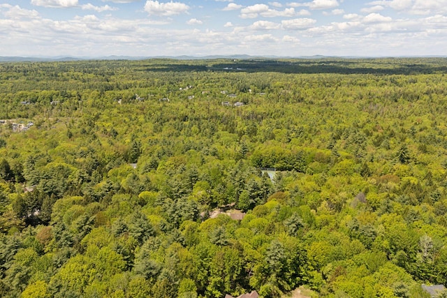 10 Ledge Hill Rd, Gorham, ME 04038 - aerial view of a forest
