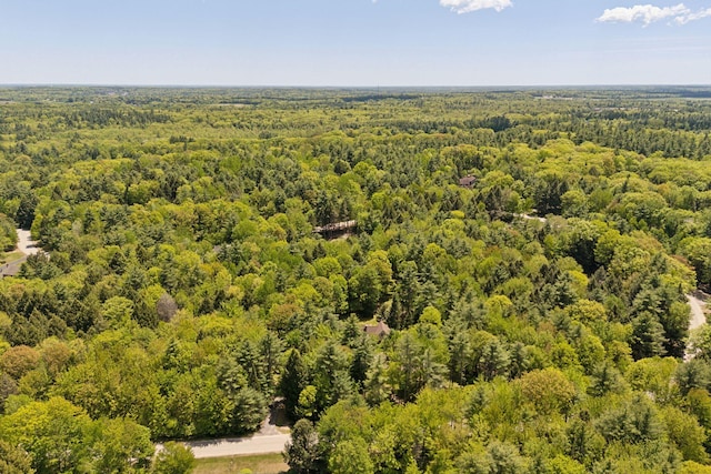 10 Ledge Hill Rd, Gorham, ME 04038 - bird's eye view of a heavily wooded area