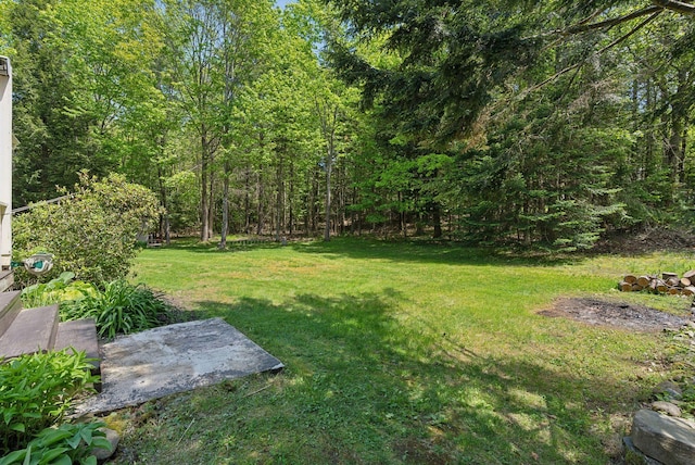 10 Ledge Hill Rd, Gorham, ME 04038 - view of green lawn with a forest view