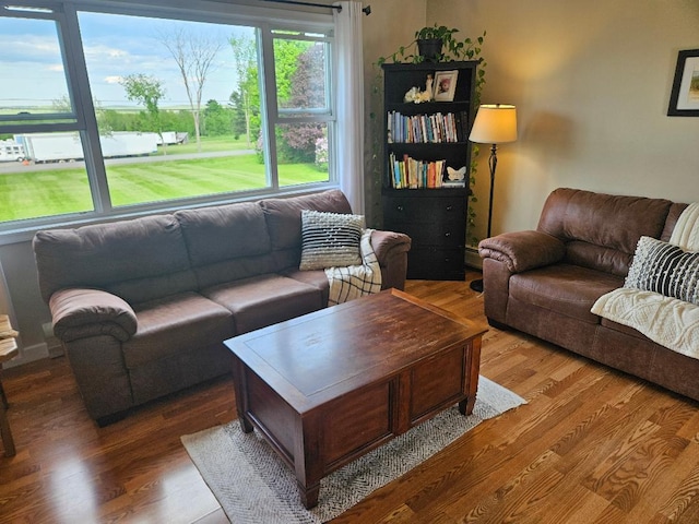 262 Golf Course Rd, Newport, ME 04953 - living room featuring wood finished floors and a baseboard radiator