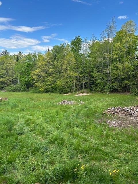 20 Monument Rd, Abbot, ME 04406 - view of yard with a forest view