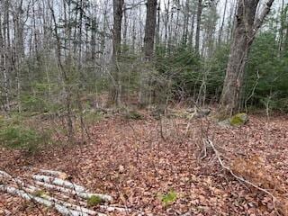 20 Monument Rd, Abbot, ME 04406 - view of undeveloped land
