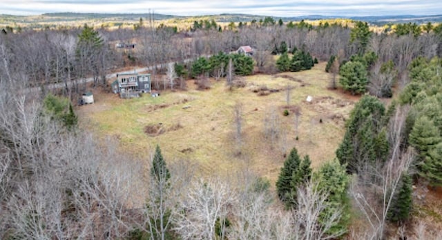 20 Monument Rd, Abbot, ME 04406 - aerial overview of property's location with rural landscape and a forest