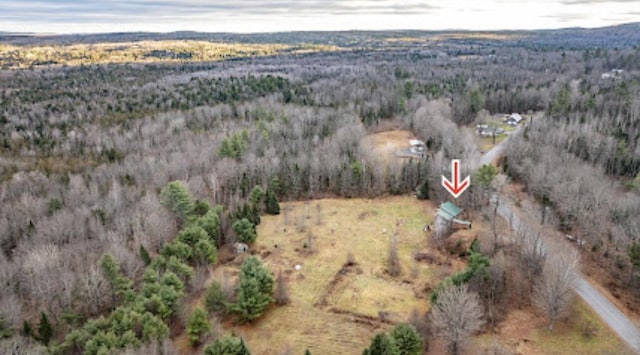 20 Monument Rd, Abbot, ME 04406 - aerial view of property's location with a forest