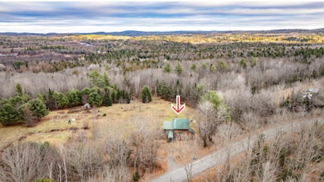 20 Monument Rd, Abbot, ME 04406 - aerial view of property's location