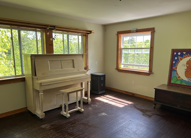20 Monument Rd, Abbot, ME 04406 - living area with healthy amount of natural light, baseboards, and dark wood-style flooring