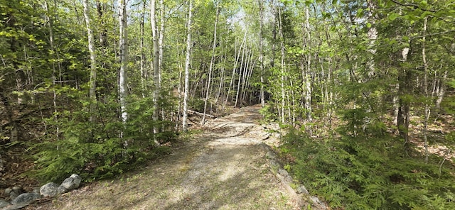 1261 Turkey Tail Rd Unit T4, Indian Purchase Twp, ME 04462 - view of street