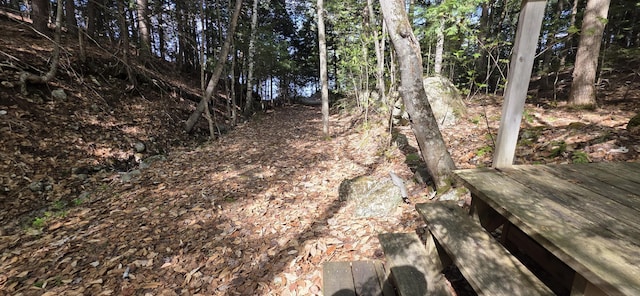 1261 Turkey Tail Rd Unit T4, Indian Purchase Twp, ME 04462 - view of undeveloped land