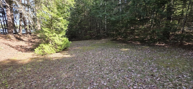 1261 Turkey Tail Rd Unit T4, Indian Purchase Twp, ME 04462 - view of yard featuring a wooded view