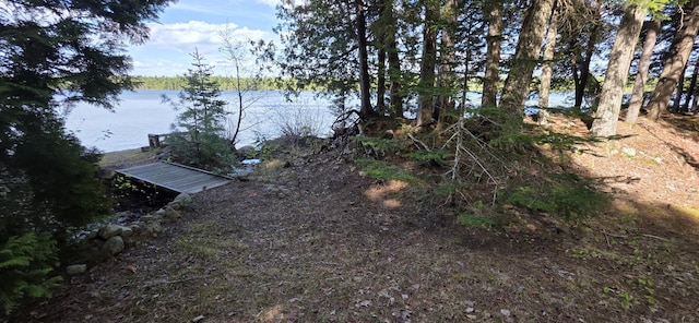 1261 Turkey Tail Rd Unit T4, Indian Purchase Twp, ME 04462 - dock featuring a water view