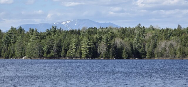 1261 Turkey Tail Rd Unit T4, Indian Purchase Twp, ME 04462 - water view with a forest and mountains
