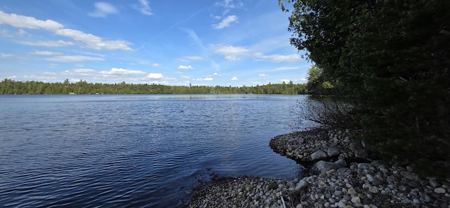 1261 Turkey Tail Rd Unit T4, Indian Purchase Twp, ME 04462 - water view featuring a heavily wooded area