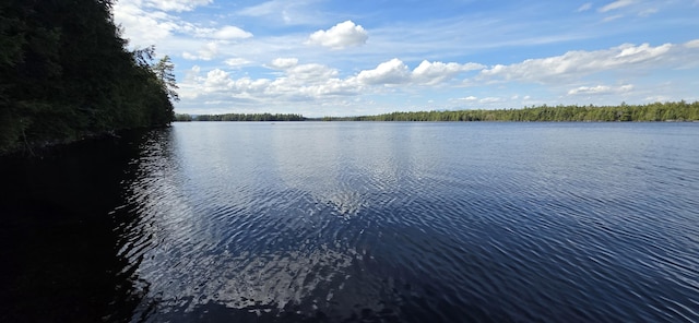 1261 Turkey Tail Rd Unit T4, Indian Purchase Twp, ME 04462 - water view featuring a forest