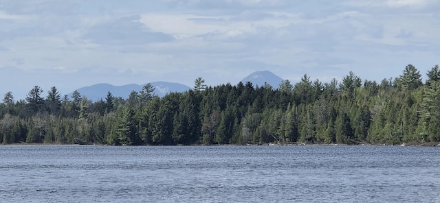 1261 Turkey Tail Rd Unit T4, Indian Purchase Twp, ME 04462 - water view featuring a forest and a mountain backdrop