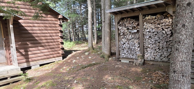 1261 Turkey Tail Rd Unit T4, Indian Purchase Twp, ME 04462 - view of home's exterior