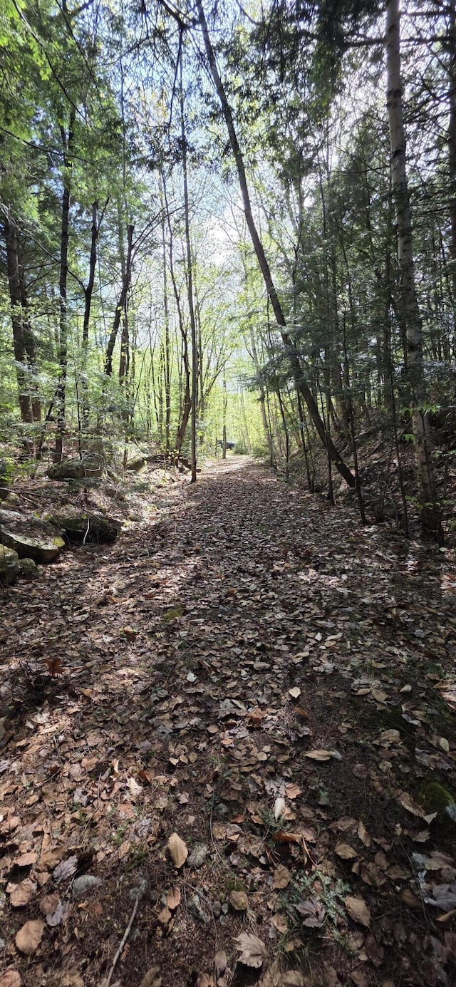 1261 Turkey Tail Rd Unit T4, Indian Purchase Twp, ME 04462 - view of undeveloped land