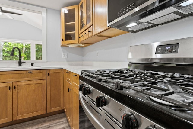 30 Ring Landing Rd, Casco, ME 04015 - kitchen with stainless steel appliances, a sink, light wood-type flooring, light countertops, and brown cabinetry