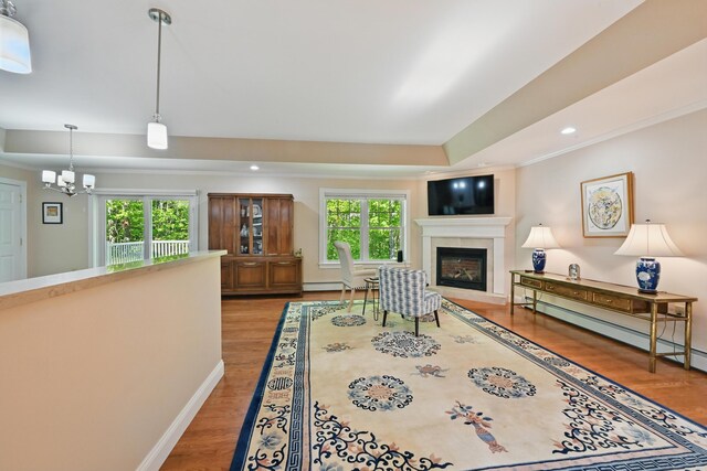 40 Camden Ct Unit 40, Bangor, ME 04401 - living area with wood finished floors, a glass covered fireplace, a chandelier, baseboards, and recessed lighting