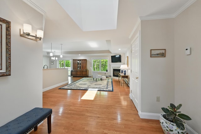 40 Camden Ct Unit 40, Bangor, ME 04401 - entryway featuring a fireplace, light wood finished floors, baseboards, crown molding, and a tray ceiling