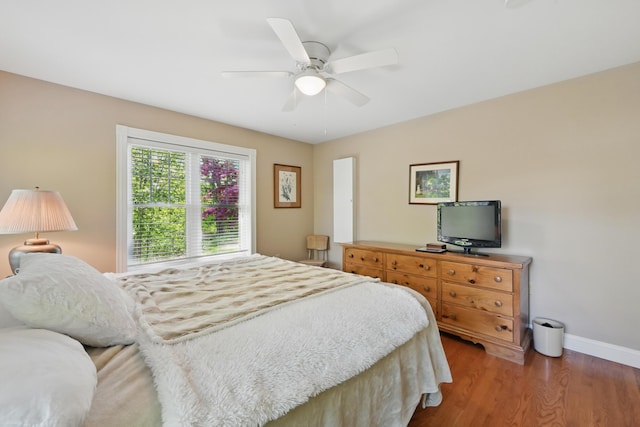 40 Camden Ct Unit 40, Bangor, ME 04401 - bedroom with wood finished floors, baseboards, and a ceiling fan
