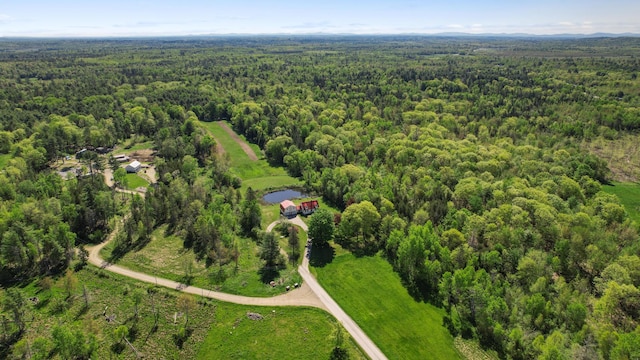 87 Southard Ave, Kenduskeag, ME 04450 - aerial view of property and surrounding area with a forest