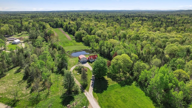 87 Southard Ave, Kenduskeag, ME 04450 - drone / aerial view of a heavily wooded area