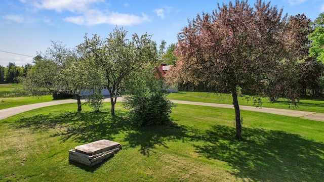 87 Southard Ave, Kenduskeag, ME 04450 - view of home's community with a yard and view of wooded area
