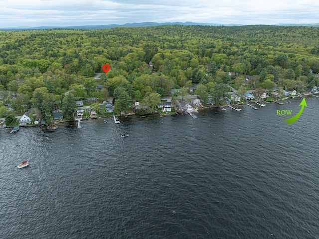 3 Lakeview Ln S, Standish, ME 04084 - view of property location featuring a forest and a large body of water