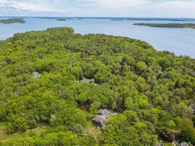 10 Pemasong Ln, Yarmouth, ME 04096 - aerial view of a heavily wooded area and a nearby body of water