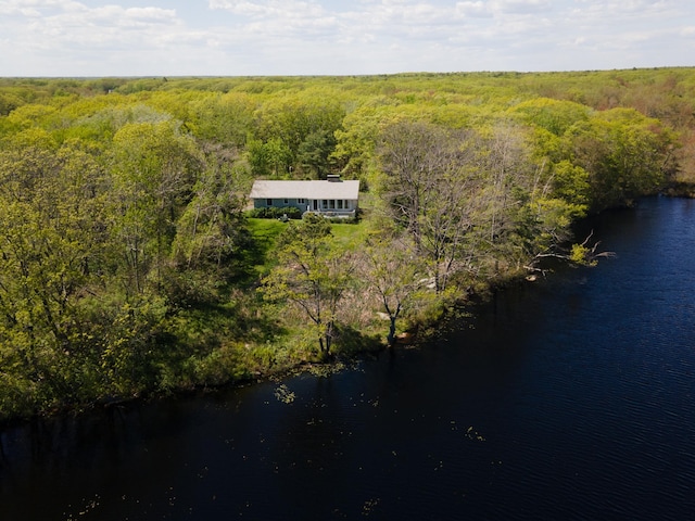 142 Fortunes Rocks Rd, Biddeford, ME 04005 - view from above of property featuring a heavily wooded area and a nearby body of water